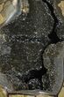Huge, Septarian Dragon Egg Geode - Black Crystals #145256-4